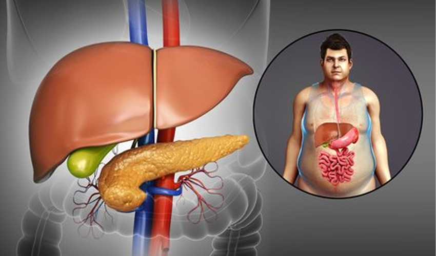 Liver Transplant in Alwarpet